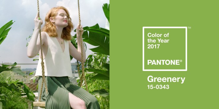 pantone-coy-2017-04